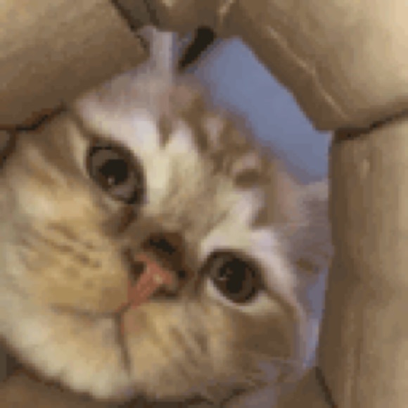 Meet your Posher, Eric - Picture 1 of 1